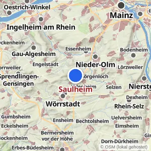 Kartenvorschau Saulheim