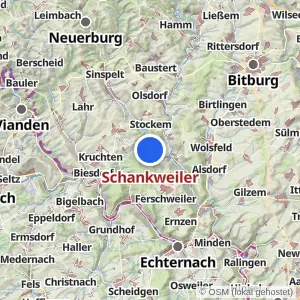 Kartenvorschau Schankweiler