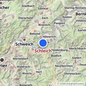 Kartenvorschau Schleich