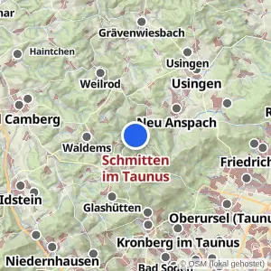 Kartenvorschau Schmitten im Taunus