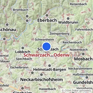 Kartenvorschau Schwarzach - Odenw