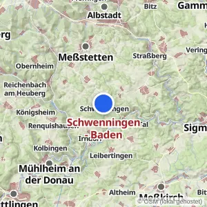 Kartenvorschau Schwenningen - Baden