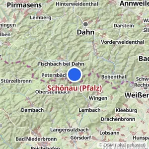 Kartenvorschau Schönau (Pfalz)