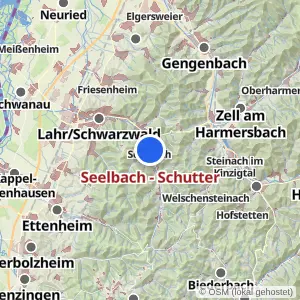 Kartenvorschau Seelbach - Schutter
