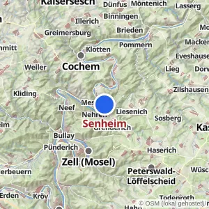 Kartenvorschau Senheim