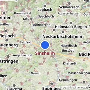 Kartenvorschau Sinsheim