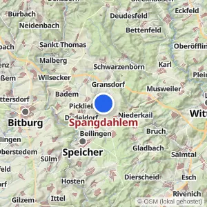 Kartenvorschau Spangdahlem