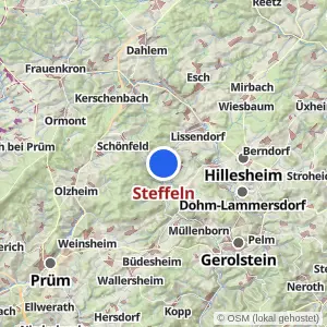 Kartenvorschau Steffeln