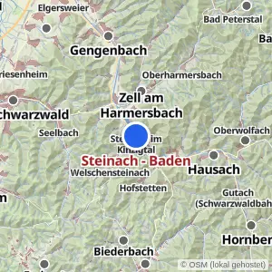 Kartenvorschau Steinach - Baden