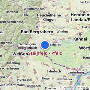 Kartenvorschau Steinfeld - Pfalz