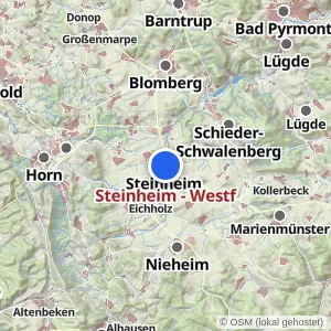 Kartenvorschau Steinheim - Westf