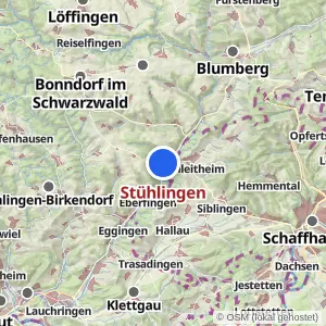 Kartenvorschau Stühlingen