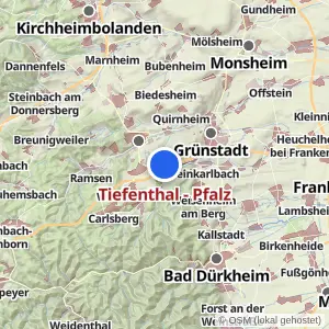 Kartenvorschau Tiefenthal - Pfalz