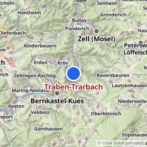 Kartenvorschau Traben-Trarbach