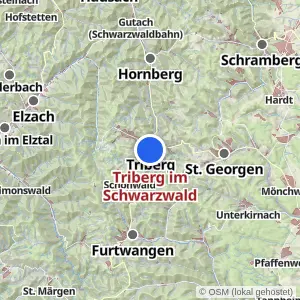 Kartenvorschau Triberg im Schwarzwald