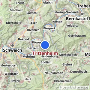 Kartenvorschau Trittenheim