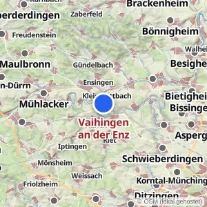 Kartenvorschau Vaihingen an der Enz