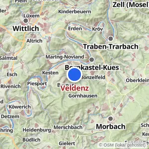 Kartenvorschau Veldenz