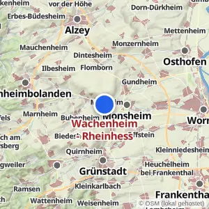Kartenvorschau Wachenheim - Rheinhess