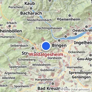 Kartenvorschau Waldalgesheim