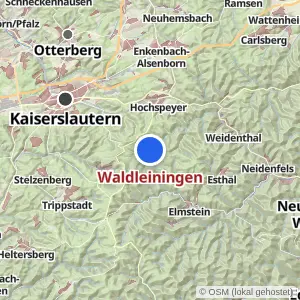 Kartenvorschau Waldleiningen