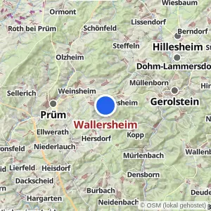 Kartenvorschau Wallersheim