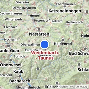 Kartenvorschau Weidenbach - Taunus