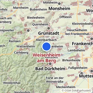 Kartenvorschau Weisenheim am Berg