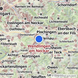 Kartenvorschau Wendlingen am Neckar
