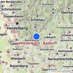 Kartenvorschau Wiesenbach - Baden