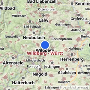 Kartenvorschau Wildberg - Württ