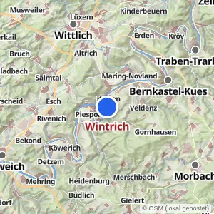Kartenvorschau Wintrich