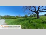 Titelbild für Dies ist nur ein Test! Ein Stückchen Wiese. Mit Ameisen.