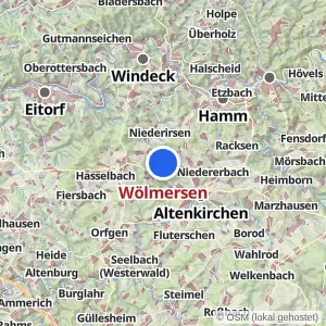 Kartenvorschau Wölmersen