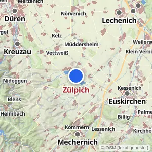 Kartenvorschau Zülpich